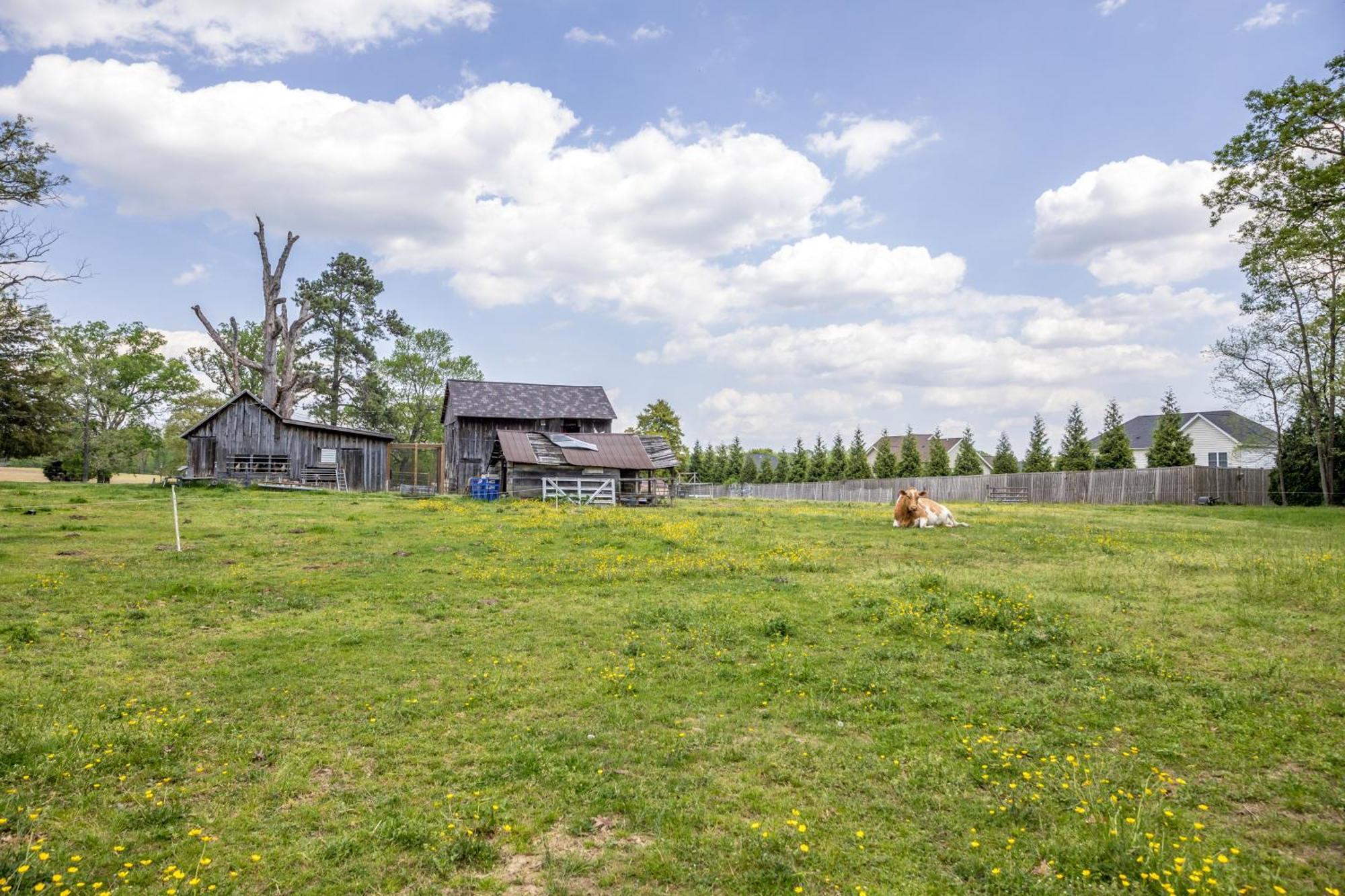 Watch Deer From A Farm Cottage Bel Air Esterno foto